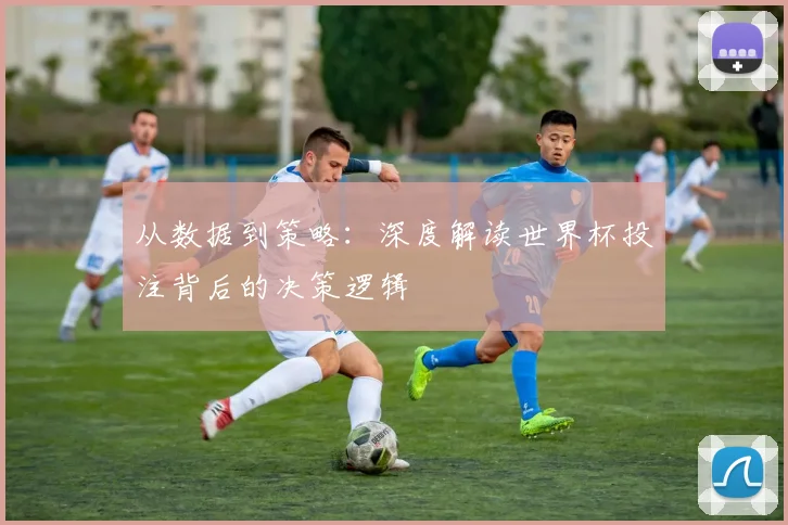 从数据到策略：深度解读世界杯投注背后的决策逻辑