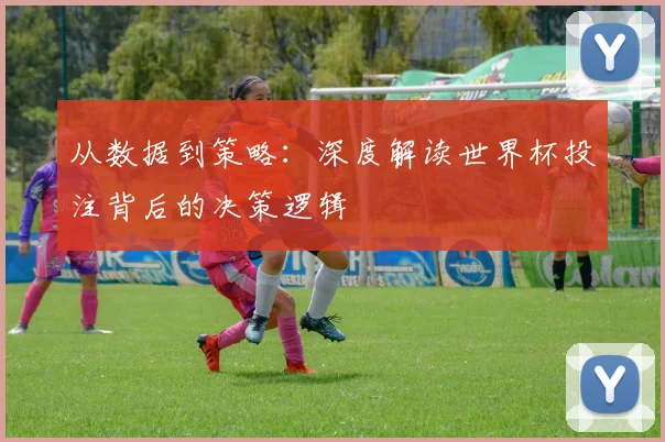 从数据到策略：深度解读世界杯投注背后的决策逻辑